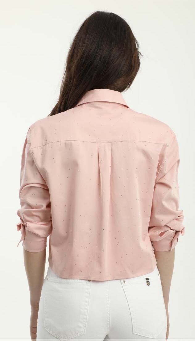 Roze blouse dishe Roze blouse dishe